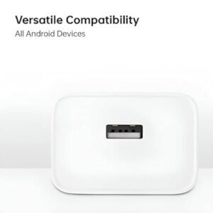 Vivo 66W Flash Charger - 3.4A Adapter